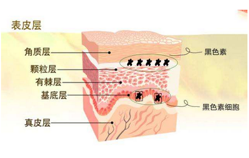 嘴唇部位有白癜风白点点早期症状图片