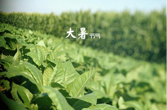 大暑来了!白癜风防暑必看!!