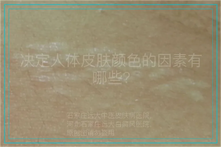决定人体皮肤颜色的因素有哪些？